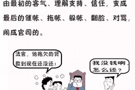 太子河太子河的要账公司在催收过程中的策略和技巧有哪些？